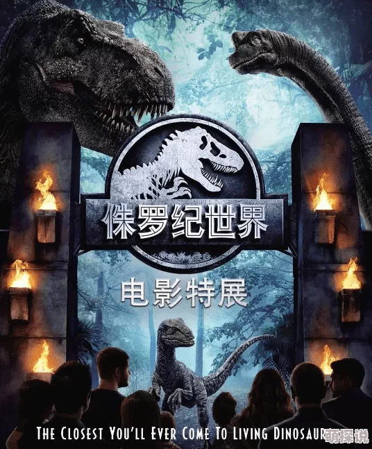 探索午夜电影亚洲精品一区：沉浸在独特视听体验中的神秘夜晚之旅