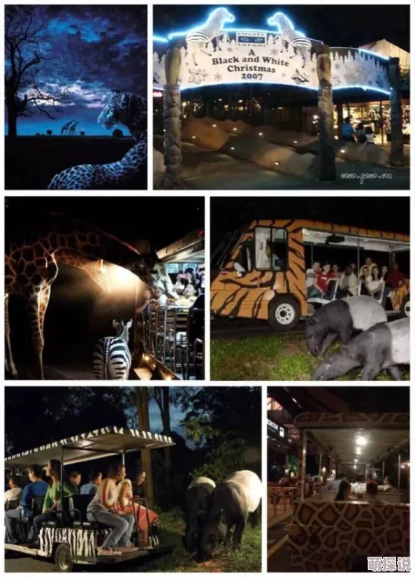 探索午夜电影亚洲精品一区：沉浸在独特视听体验中的神秘夜晚之旅