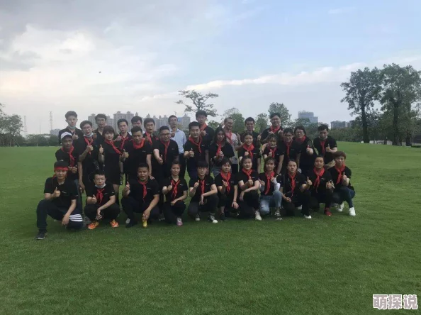 免费一级a毛片在线播出：最新动态与用户反馈，探讨平台内容更新及观看体验的提升