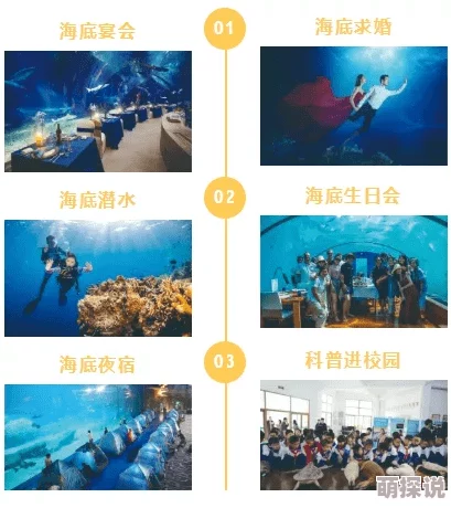 探索大喷水吹潮magnet的神奇魅力：如何利用这一创新科技提升海洋观光体验与生态保护