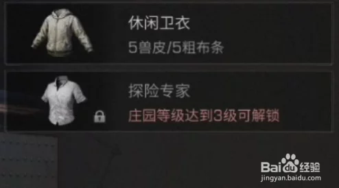 《明日之后》休闲卫衣制作攻略：详细配方材料与步骤一览