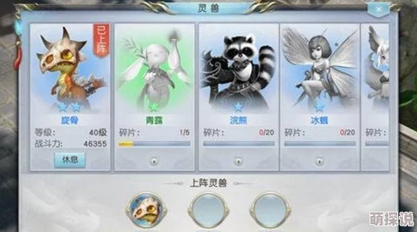 《镇魔曲手游》熊霸角色深度解析及高效技能搭配推荐攻略