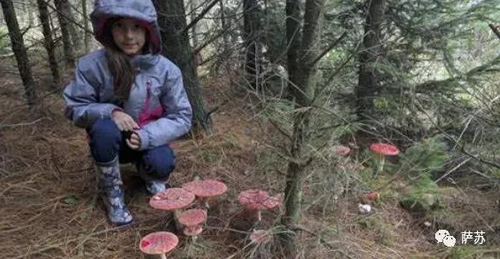 战斗吧蘑菇君：全地图怪物出现位置及整理大全攻略指南