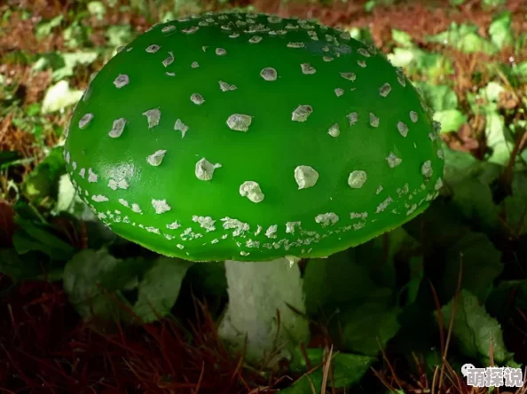 战斗吧蘑菇君：全地图怪物出现位置及整理大全攻略指南