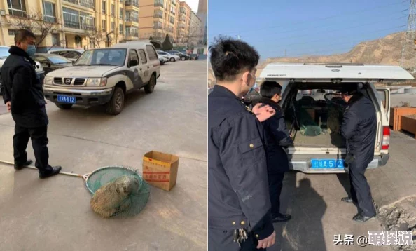 呦交性呦交乱叫，网友纷纷表示这种现象让人感到困惑，认为应该加强对相关内容的监管与引导