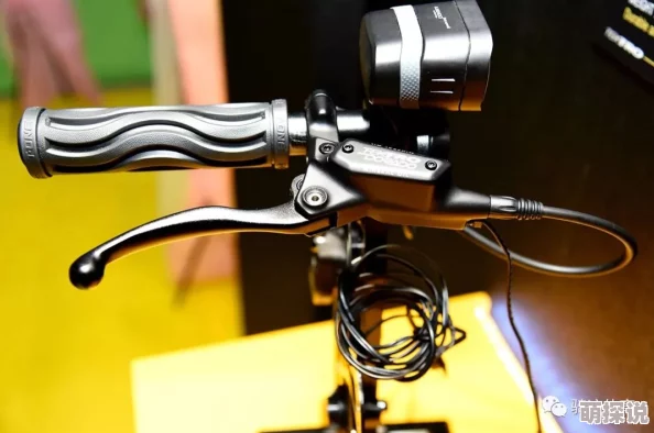 hdxxxx中国：最新动态显示该项目在技术创新和市场拓展方面取得显著进展，吸引了众多投资者的关注与参与