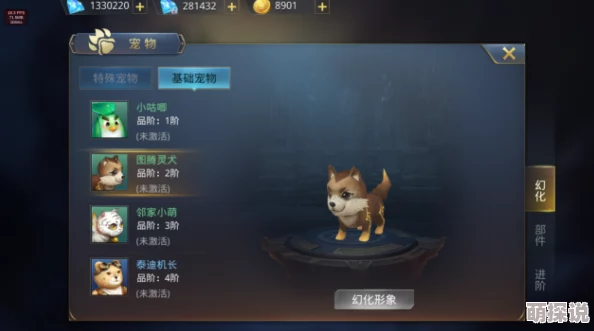 超神觉醒宠物系统全面介绍：探索萌宠世界，萌萌哒精灵等你来领养共赴冒险之旅