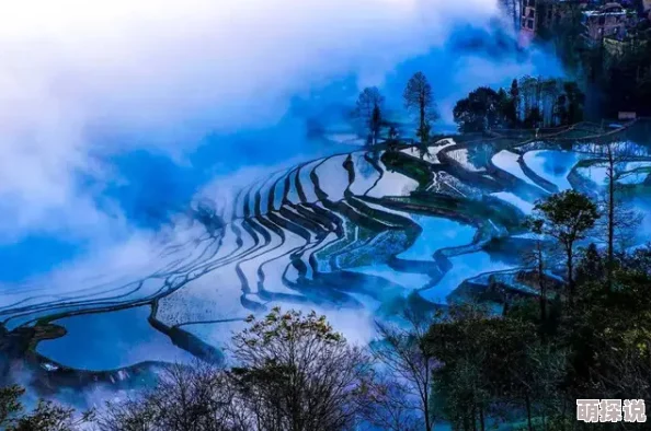 68av.海角,这个地方真是美得让人心醉,值得一去再去! 68av.海角,这个地方真是美得让人心醉,值得一去再去!