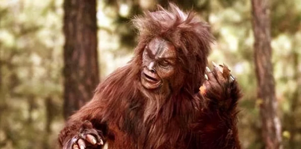 凌晨三点播放的视频叫什么？这个时间段的内容总是让人好奇，期待更多分享！