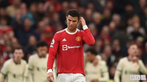 炉石传说：毒瘤打脸萨强势登顶，15连胜豪取佳绩直上传说段位！