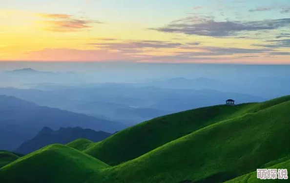 四叶草秘密基地，真是一个充满幻想和童趣的地方，让人流连忘返！