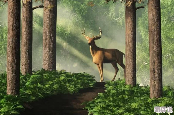 问道手游古鹿宠物深度解析：好不好养及全面属性一览指南