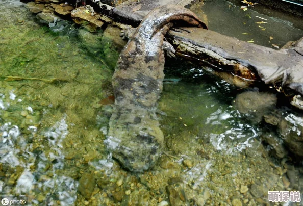妈妈桃源洞口已是溪水，真希望能保护好这片美丽的自然环境，让更多人欣赏