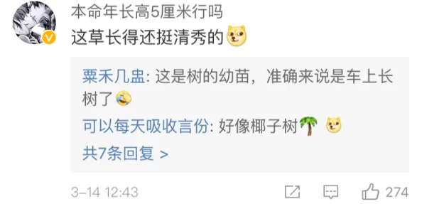 久久伊人操网友认为该内容过于露骨，可能会对青少年产生不良影响，呼吁加强网络内容监管与引导