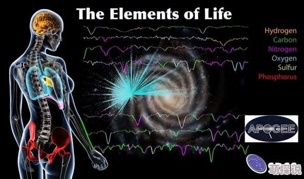 体内BBBBB：科学家发现人类体内隐藏的神秘物质，或将彻底改变医学界的未来！