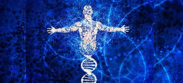 体内BBBBB：科学家发现人类体内隐藏的神秘物质，或将彻底改变医学界的未来！