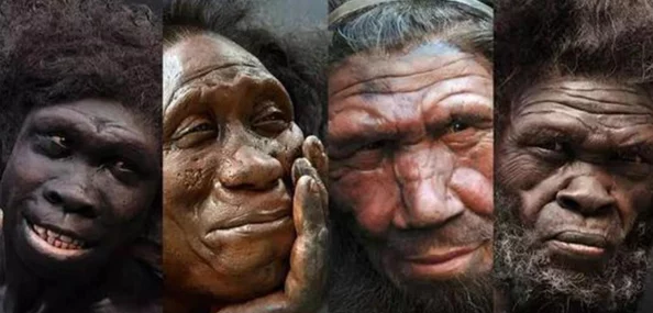 达尔文进化岛深度解析：种族阵营系统具体玩法与策略指南详解