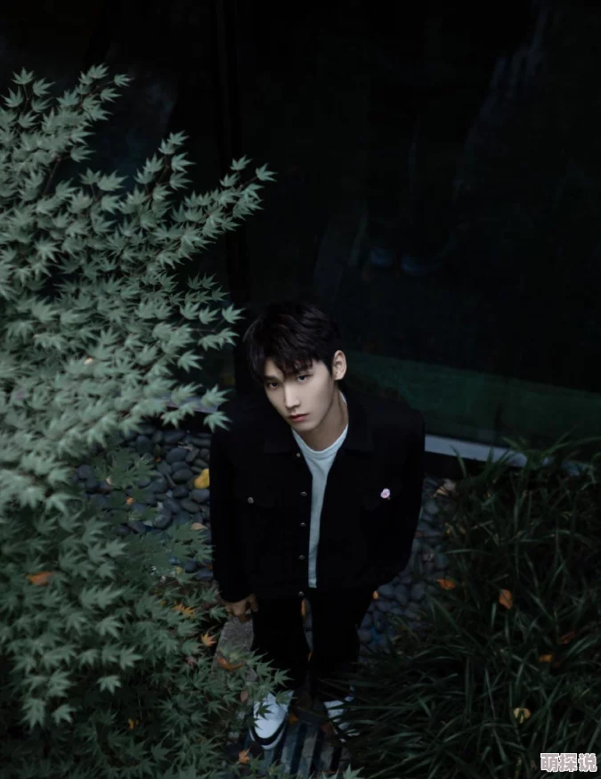 www,黑料：这个话题真是引发了大家的热议，很多网友都有不同的看法和观点