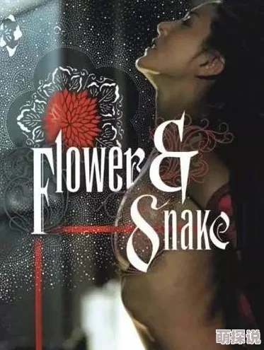 亚洲精品b片，真是让人感到震惊，这种内容居然能在网络上流传，影响恶劣