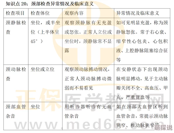 fulao2国内载点1路线检测与优化分析：技术挑战、实施方案及实际应用效果研究