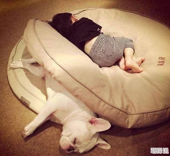 一小孩半夜喂女孩吃困吧kuiba，这种温暖的举动真让人感动，孩子们的纯真无邪令人心醉