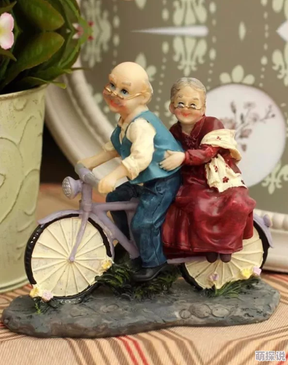 国产大陆老老太老头性视频，真是让人感到震惊，这样的内容居然会被传播