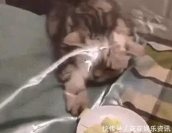 3d蒲团肉网友认为这种新颖的食品设计既有趣又美味，吸引了不少年轻人的关注和尝试，成为社交媒体上的热门话题