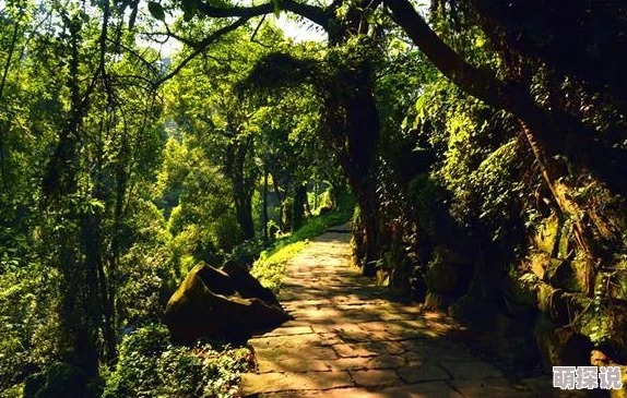 阴阳师手游：新一期秘闻副本“河畔童谣”震撼上线，挑战与奖励等你来拿！