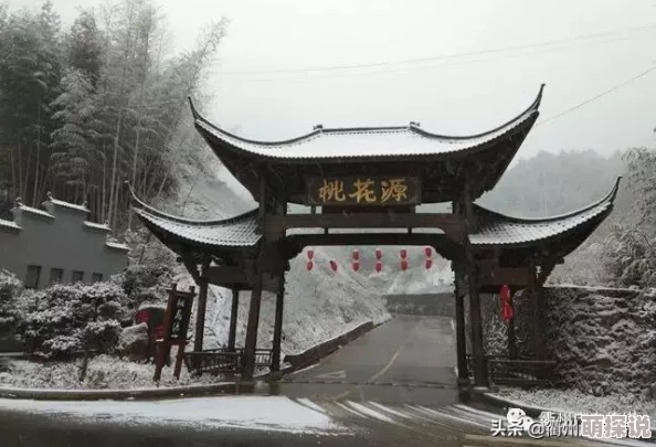 91桃花源：最新动态揭示了该平台在用户体验和内容丰富性方面的重大升级，吸引了更多年轻用户的关注