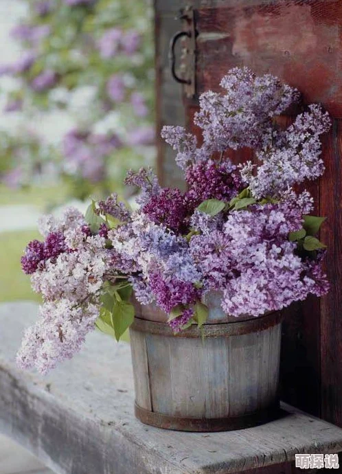 丁香婷婷啪啪，内容丰富多彩，让人忍不住想要深入了解更多相关信息