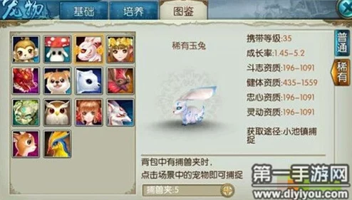 诛仙手游稀有宠物玉兔刷新时间及多个捕捉地点全面解析指南