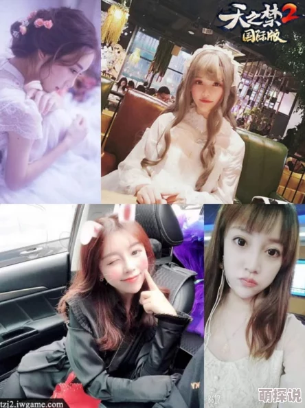 美女网站一区二区三区网友推荐这个网站汇聚了众多美丽的小姐姐资源让你在这里找到心仪的对象和精彩内容非常值得一试