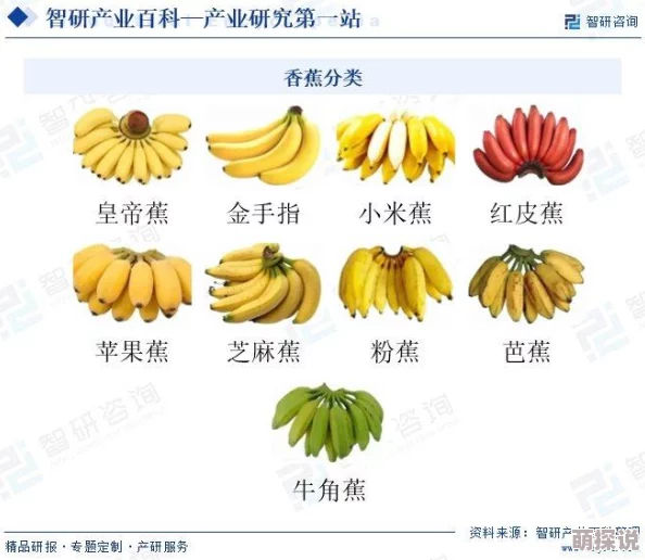 伊人久久大香线蕉亚洲最新进展消息引发广泛关注业内专家分析其对市场的潜在影响与未来发展趋势