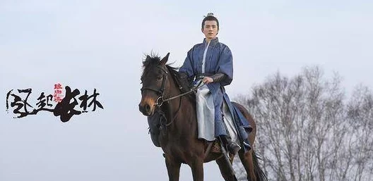 《琅琊榜之风起长林》赤焰军表现如何？深度解析其职业特点与战斗力