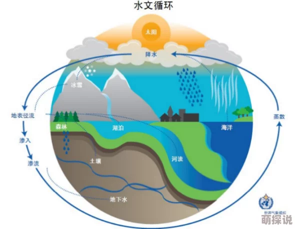 无水之池引发环保关注专家呼吁加强水资源管理以应对干旱和气候变化带来的挑战