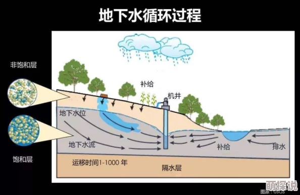 无水之池引发环保关注专家呼吁加强水资源管理以应对干旱和气候变化带来的挑战