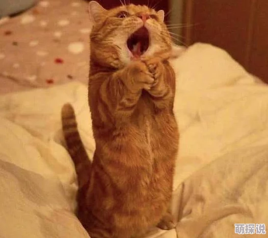 撅起屁股挨操 网友推荐这部作品情节紧凑角色鲜明让人欲罢不能绝对值得一看不容错过的精彩内容 撅起屁股挨操 网友推荐这部作品情节紧凑角色鲜明让人欲罢不能绝对值得一看不容错过的精彩内容