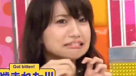 日日摸夜夜添夜夜添毛片 日日摸夜夜添夜夜添毛片