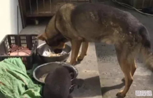 免费大黄美女片免费让我们关注积极向上的内容，传播正能量，共同营造一个健康和谐的网络环境，享受美好生活