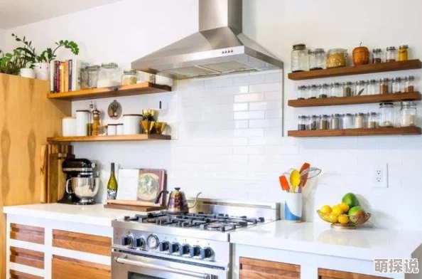 给你生猴子小灶厨房精英本高效通关技巧全解析与攻略指南 给你生猴子小灶厨房精英本高效通关技巧全解析与攻略指南