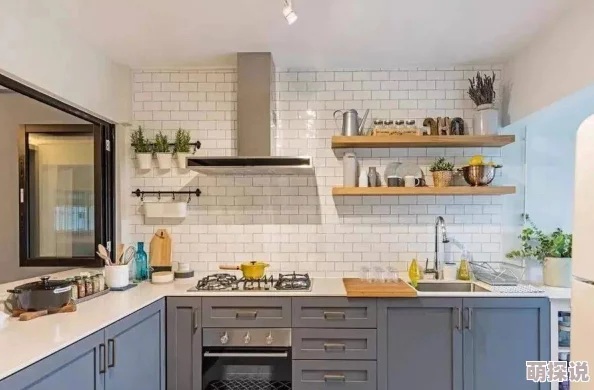 给你生猴子小灶厨房精英本高效通关技巧全解析与攻略指南 给你生猴子小灶厨房精英本高效通关技巧全解析与攻略指南