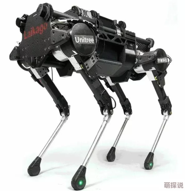 排行榜网友推荐这份排行榜涵盖了最新的热门产品和服务无论是科技还是生活方式都能找到适合你的选择 排行榜网友推荐这份排行榜涵盖了最新的热门产品和服务无论是科技还是生活方式都能找到适合你的选择