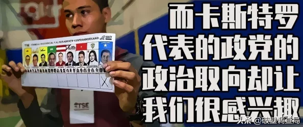 天下手游蝴蝶副本攻略：高玩深度解析通关心得与技巧分享