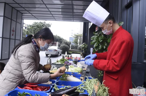 料理次元五星食材出货时间全面汇总：详解各类五星食材最佳出货时段与规律