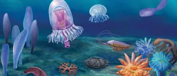 老一级毛片近日，科学家发现了一种新的深海生物，其独特的发光机制引人注目