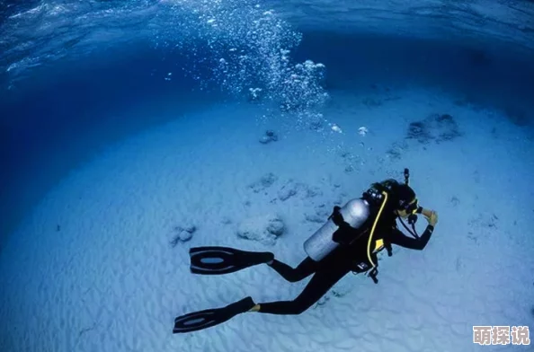 老一级毛片近日，科学家发现了一种新的深海生物，其独特的发光机制引人注目