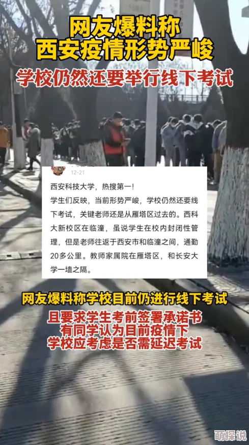 裸女视频网站关停整改,倡导健康网络环境建设 裸女视频网站关停整改,倡导健康网络环境建设