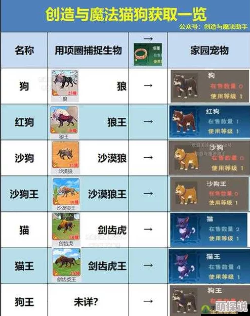 创造与魔法游戏全解析:宠物技能汇总一览及宠物种类大盘点 创造与魔法游戏全解析:宠物技能汇总一览及宠物种类大盘点