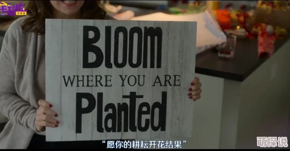 欧美一级毛片片aa视频积极倡导健康的生活方式与价值观念鼓励人们追求梦想与幸福共同创造美好未来