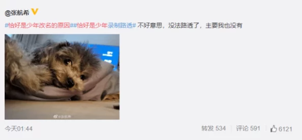 黄色小片段其实是指那些充满正能量的短视频，它们通过幽默风趣的方式传递积极的生活态度和人生哲理，让观众在轻松愉快的氛围中获得启发和鼓励